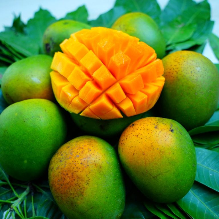 রাজশাহীর প্রিমিয়াম হিমসাগর আম (১১ কেজি স্পেশাল ফ্যামিলি প্যাক) - Image 2